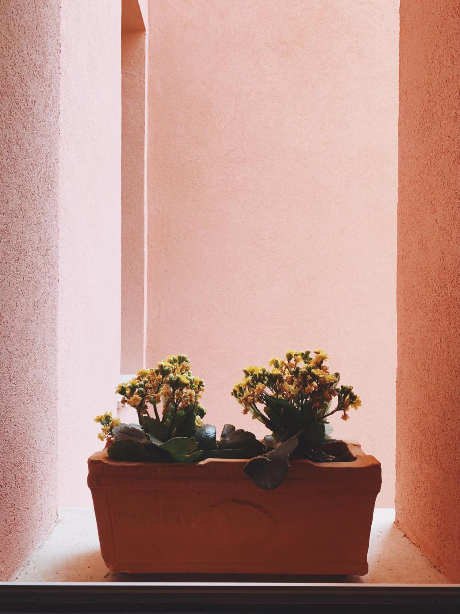 Gatto Storpio Apartment Arezzo Exterior photo